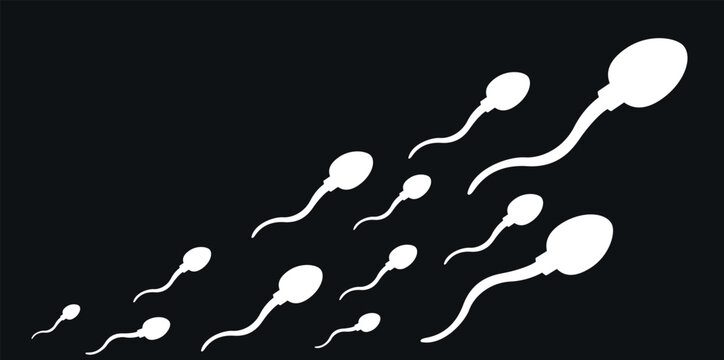 White Sperm Cells Silhouettes Isolated on Black Background, Human Fertility Vector Silhouette Illustration