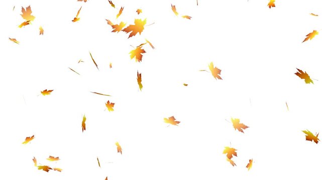 flying autumn maple leaves, autumn leaf fall background overlay loopable.
