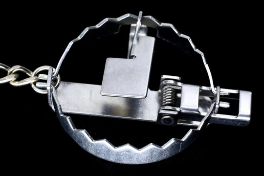 Bear trap open for prey
