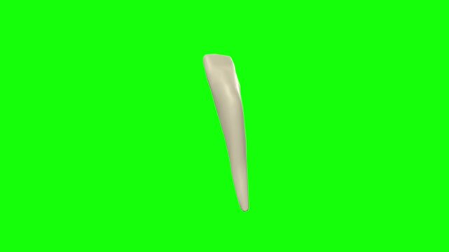 Left Lower Lateral Secondary Incisor Tooth Rotation Green Screen CC BY