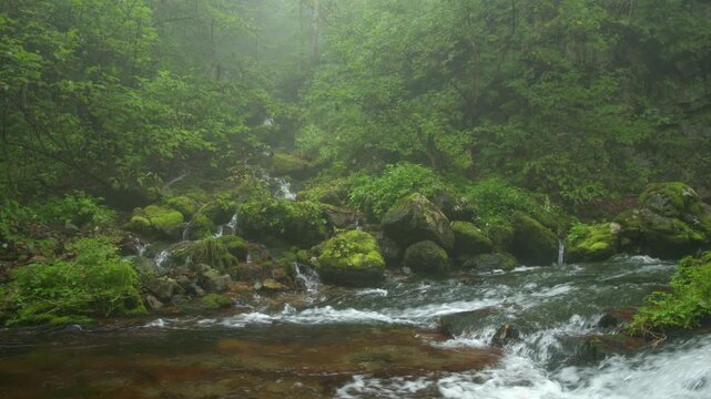 Confluence of two streams in the mountains