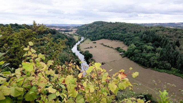 Foreground leaves frame a wide view over the River Wye winding between wooded hills and farmland as the camera slowly pans.
