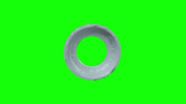Left Choroid Rotation Green Screen CC BY