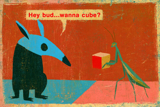 Speech Bubble Hey Bud Wanna Cube Female Praying Mantis Offering