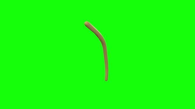 Left Infratrochlear Nerve Rotation Green Screen CC BY