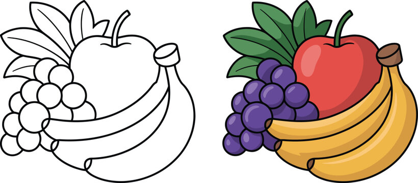 fruits coloring book vector illustration set, apples, grapes and bananas in outlined and colored cartoon style for children, educational worksheets, activity pages and printable designs