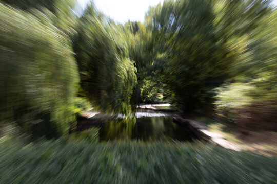 flou artistique zoom nature