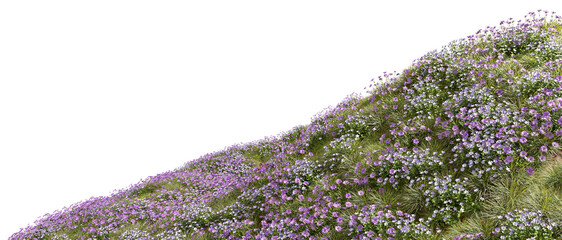 Fototapeta na wymiar Beautify flowers slope fields isolated transparent backgrounds 3d rendering png file