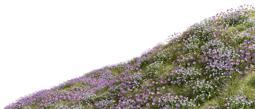 Beautify flowers slope fields isolated transparent backgrounds 3d rendering png file