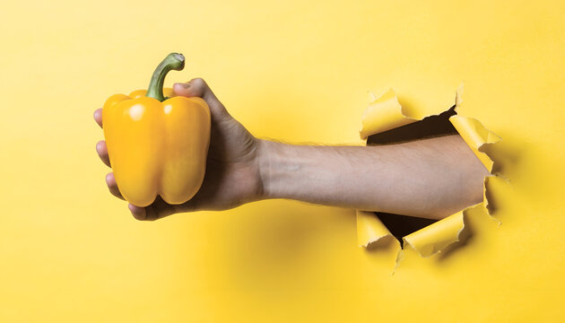 Creative Concept of a Human Arm Breaking Through Yellow Paper Wall Holding a Fresh Yellow Bell Pepper