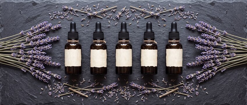 Amber glass dropper bottles aligned symmetrically on dark slate background decorated with fresh and dried lavender stems and seeds