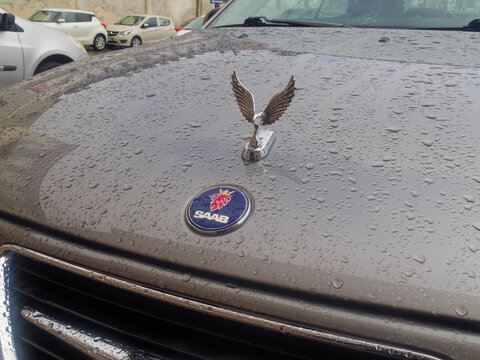 Close-up view of a Saab car's hood covered in raindrops, featuring the iconic eagle hood ornament and circular emblem