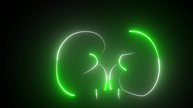 The appearance of neon symbol kidneys. Elements of Medicine in neon style icons. 4k Kidney animation by blue neon on black background. The kidney was divided into the right and left halves.hd video.
