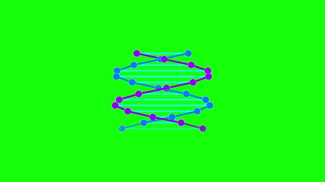 3D DNA double helix animation icon on green screen background, blue and purple genetic spiral strand for medical science and biotechnology research visuals and motion graphics.