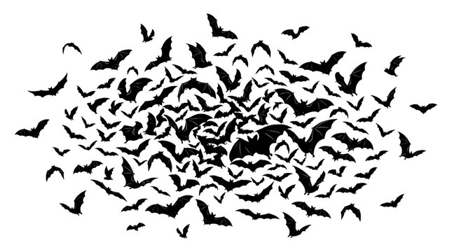 A large swarm of black bats flying in a dense cluster isolated on a white background