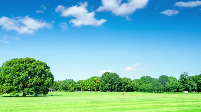 初夏の青空と新緑が広がる公園・タイムラプス