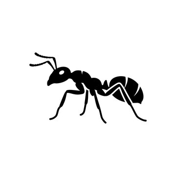 Black ant silhouette isolated on transparent background, small insect insectoid graphic.