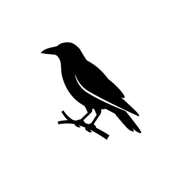 Black crow silhouette perched on a branch, abstract symbol.