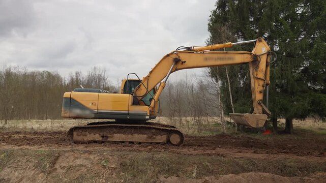 Yellow excavator trims tree beside forest clearing with raised boom and bucket, showing focused work in overcast rural earthmoving conditions near muddy ground and tall conifer trunks.