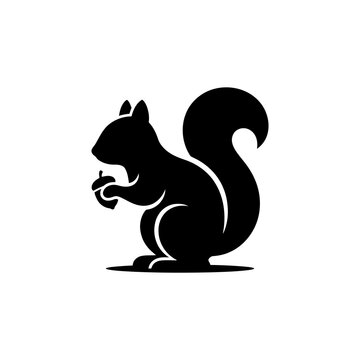 Black squirrel holding nut isolated on transparent background for forest.