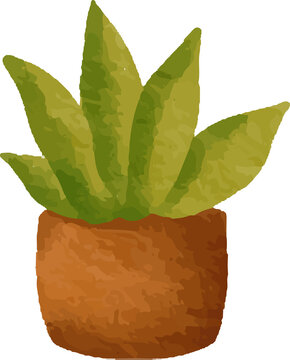 Green succulent plant in a terracotta pot watercolor style