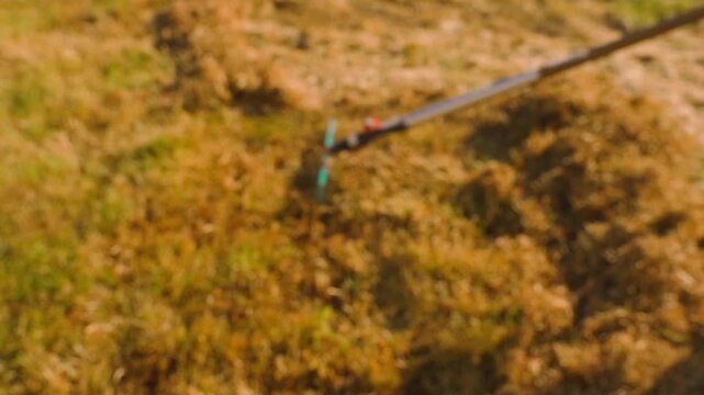 Blurred background of raking dry grass on lawn with garden rake