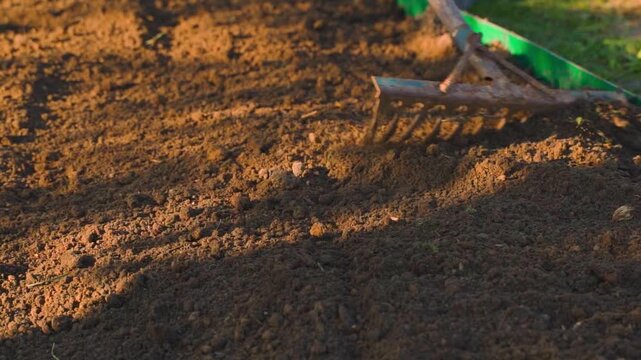Leveling garden bed soil with a rake close-up in slow motion