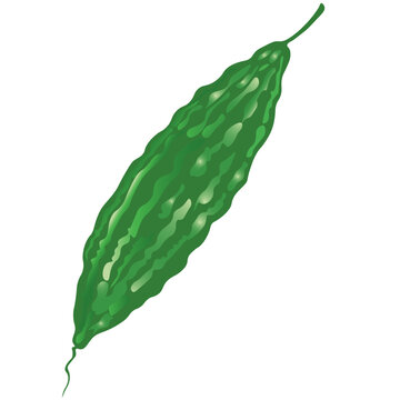bitter gourd