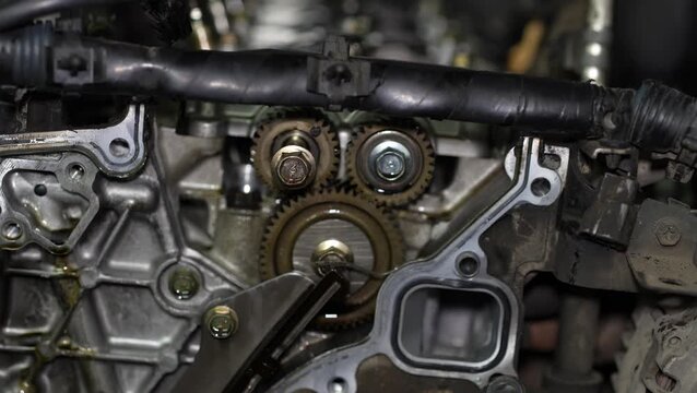 A detailed view of interlocking gears and a timing mechanism inside an opened internal combustion car engine during an overhaul.
