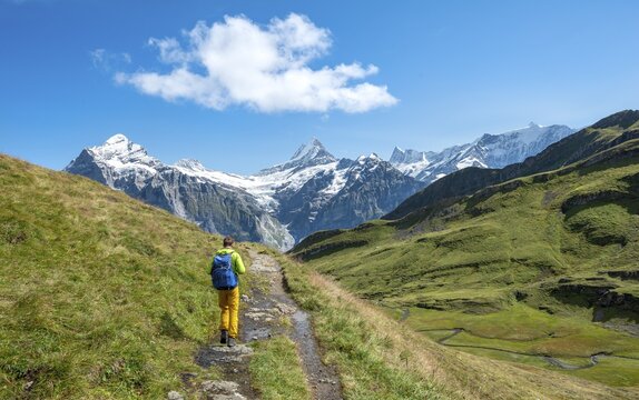 Hiker, snow-covered Fiescherhorn, Wetterhorn and Schreckhorn, Grindelwald, Bern, Switzerland