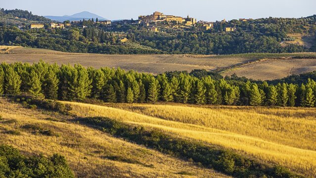 Hilly landscape in the evening light, in the back the village of Montisi, near Trequanda, Tuscany, Italy