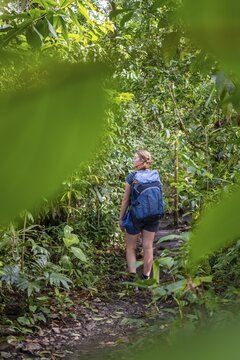 Tourist exploring rainforest, dense vegetation, Tortuguero National Park, Costa Rica