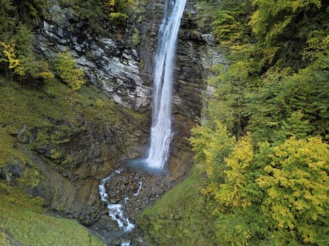 Autumn-coloured sycamore maple (Acer pseudo plantanus), at the Diesbach waterfall, Canton Glarus, Switzerland