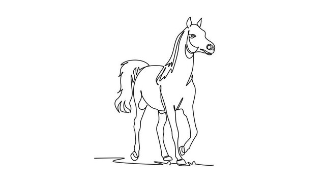 Self drawing animation single line draw elegant farm horse trotting gracefully forward with flowing mane and tail. Equine beauty, equestrian spirit, rural farm. Continuous line. Full length animated