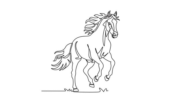 Self drawing animation of single line draw farm horse running energetically with windblown mane, flying tail. Powerful equestrian motion, rural livestock beauty. Continuous line. Full length animated