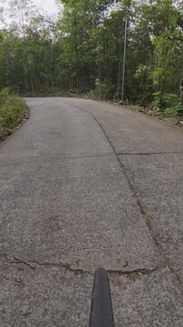 POV cycling on a winding concrete road through dense tropical forest, surrounded by lush vegetation and trees in a quiet natural setting.