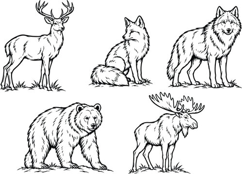 Woodland creatures illustration features a deer animal fawn