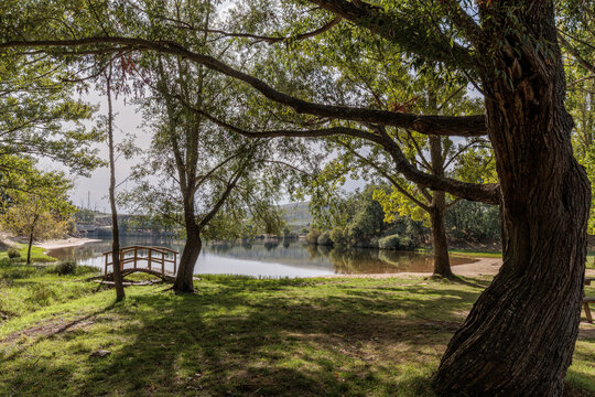 Trees and a small wooden bridge at Cional Beach, Valpara&iacute;so Reservoir, Zamora, Spain.