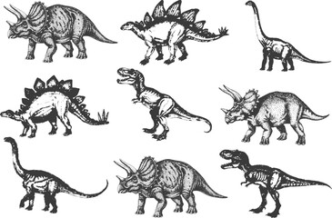 Tyrannosaurus Rex Dinosaur Bundle with Triceratops and Stegosaurus, Vintage Engraving Illustration, Hand-Drawn Detailed Monochrome Black-and-White Vector Collection. © JIBON