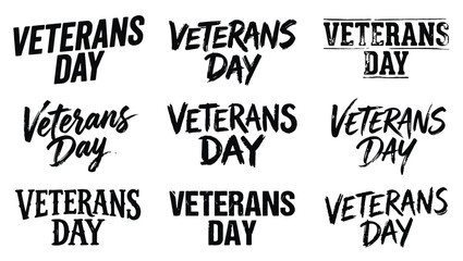 Fototapeta premium A diverse collection of distressed veterans day typography designs featuring multiple handwritten fonts on a simple white background
