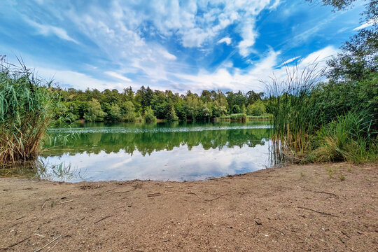 Walldorf, Germany - July 5th 2026: View of Hochholzer See Waldsee
