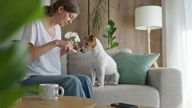 Woman preparing to brush dog teeth