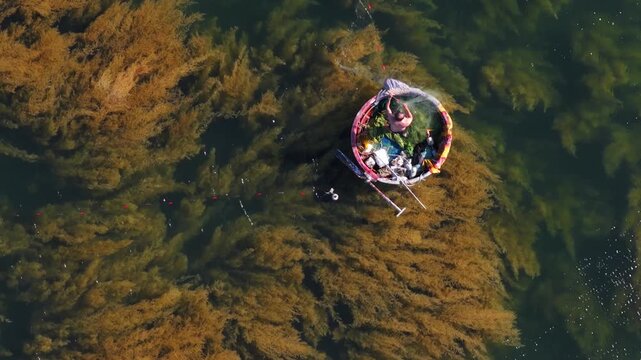 Aerial view of a fisherman on a basket boat amid golden seaweed beds in Hon Kho island near Nhon Hai fishing village, Quy Nhon City, Binh Dinh Province, Vietnam.