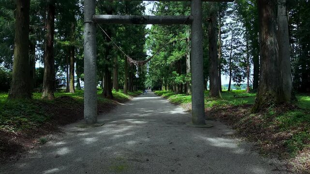 POV walking through a traditional stone torii gate with sacred rope on the peaceful cedar tree approach to Nasu Shrine, Tochigi, Japan