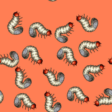 pattern soil chafer hand drawn. grub lawn, silhouette garden, summer pest soil chafer vector sketch illustration