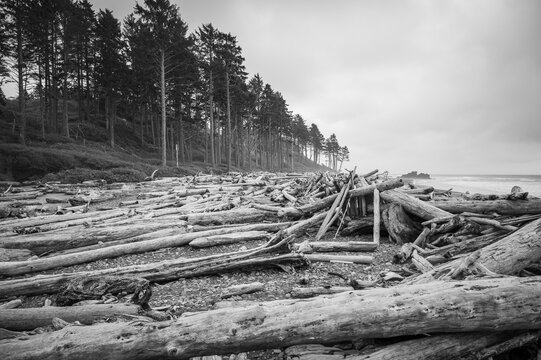 Dramatic coastline at Ruby Beach in the Olympic National Park.  Washington State, USA.  Black and White Image.