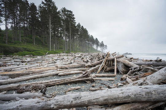 Dramatic coastline at Ruby Beach in the Olympic National Park.  Washington State, USA.