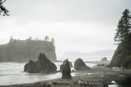 Dramatic coastline at Ruby Beach in the Olympic National Park.  Washington State, USA.