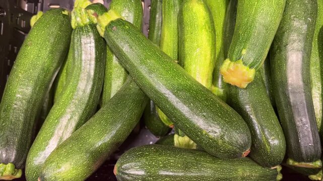 selective focus on fresh zucchini viewed from above