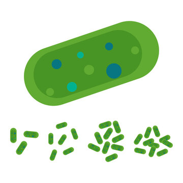 Collection of Salmonella Bacteria Icons